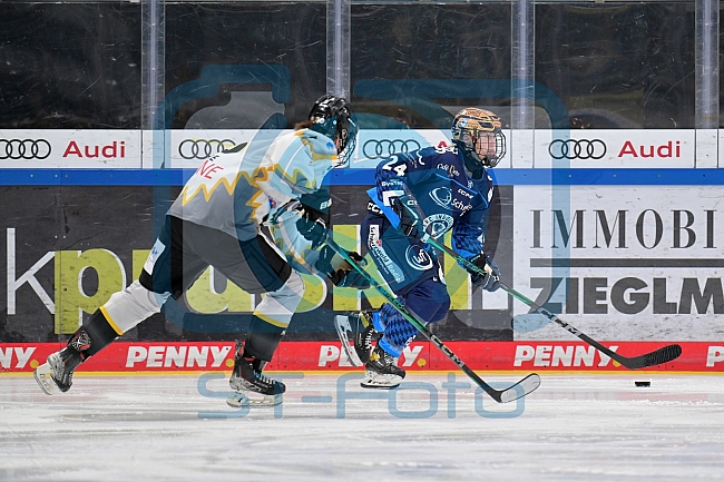Eishockey, Frauen, DFEL, Saison 2024-2025, ERC Ingolstadt - Mad Dogs Mannheim, 23.11.2024