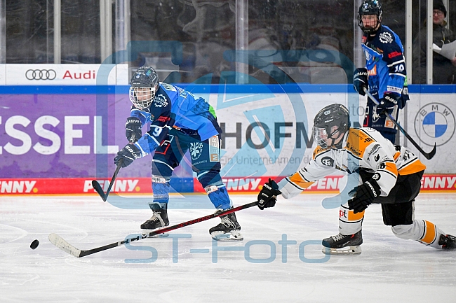 Eishockey, Nachwuchs, U17, DEB, Saison 2024-2025, ERC Ingolstadt - EV Füssen, 15.02.2025
