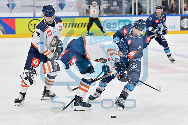 Eishockey, Mens, CHL, Season 2023-2024, ERC Ingolstadt - Växjö Lakers, 10.10.2023