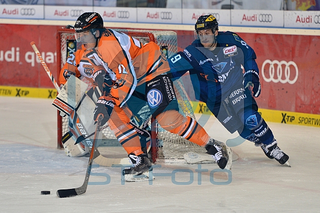 ERC Ingolstadt vs Grizzlys Wolfsburg, Eishockey, DEL, Deutsche Eishockey Liga, 31.01.2016