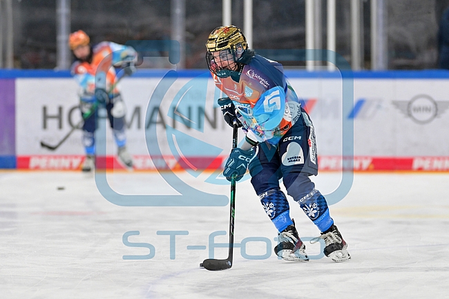 Eishockey, Frauen, DFEL, Saison 2024-2025, ERC Ingolstadt - EC Bergkamener Bären, 04.01.2025