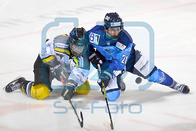 Eishockey, Frauen, DFEL, Saison 2020-2021, ERC Ingolstadt - Mad Dogs Mannheim, 30.01.2021