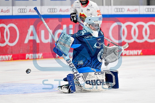 Eishockey, Frauen, DFEL, Saison 2024-2025, ERC Ingolstadt - EC Bergkamener Bären, 05.01.2025