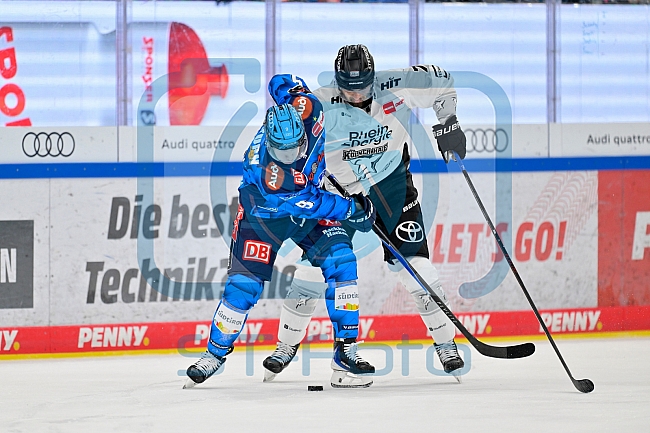 Eishockey, Herren, DEL, Saison 2025-2026, Spiel 16, ERC Ingolstadt - Kölner Haie, 31.10.2025