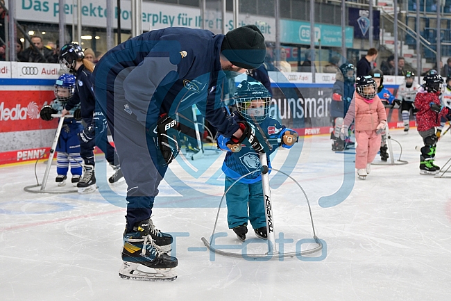 Eishockey, Herren, DEL, Saison 2024-2025, ERC Ingolstadt - Kids On Ice Day, 11.01.2025