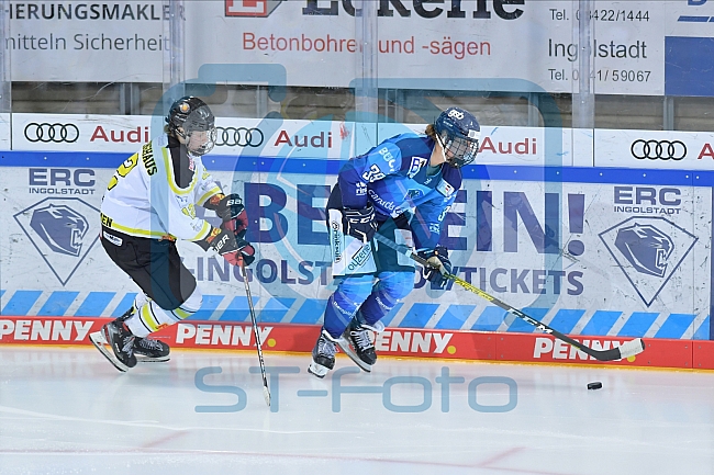 21.11.2020 - ERC Ingolstadt - EC Bergkamener Baeren