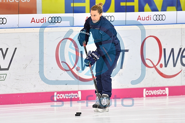 ERC Ingolstadt, Eishockey, DEL, Deutsche Eishockey Liga, 10.11.2017