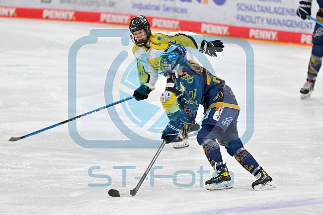 Eishockey, Frauen, DFEL, Saison 2022-2023, ERC Ingolstadt - Mad Dogs Mannheim, 20.11.2022