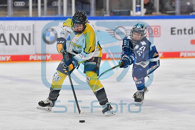 Eishockey, Frauen, DFEL, Saison 2021-2022, ERC Ingolstadt - Mad Dogs Mannheim, 23.10.2021