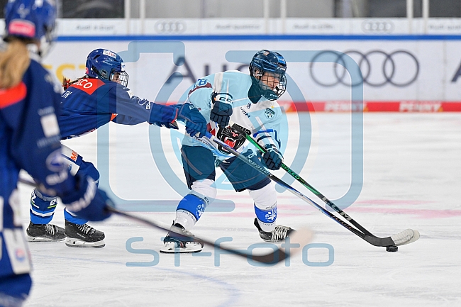 Eishockey, Frauen, DFEL, Saison 2026-2027, Testspiel, ERC Ingolstadt - ZSC Lions Zürich, 05.09.2026