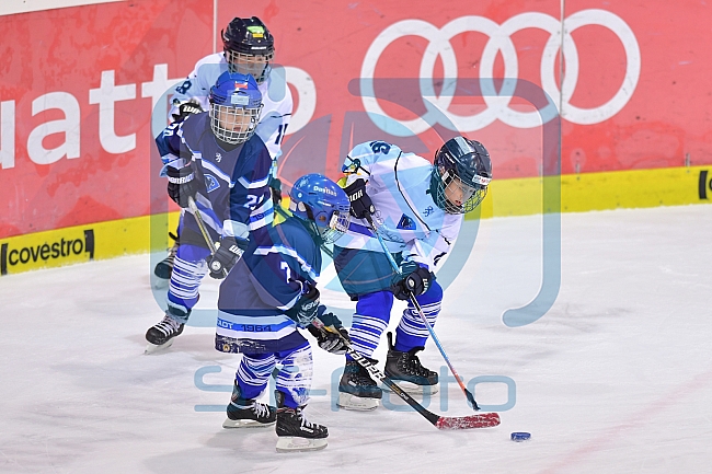 ERC Ingolstadt U20 vs Allstars Panther & Friends, Eishockey, U20, Sonderspieltag, 08.12.2018