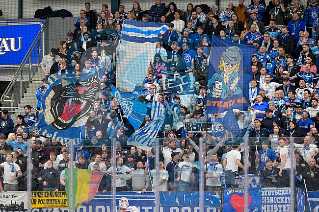 Eishockey, Herren, DEL, Saison 2025-2026, Spiel 47, ERC Ingolstadt - Nürnberg Ice Tigers, 01.03.2026