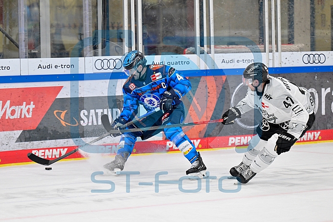 Eishockey, Herren, DEL, Saison 2025-2026, Spiel 16, ERC Ingolstadt - Kölner Haie, 31.10.2025