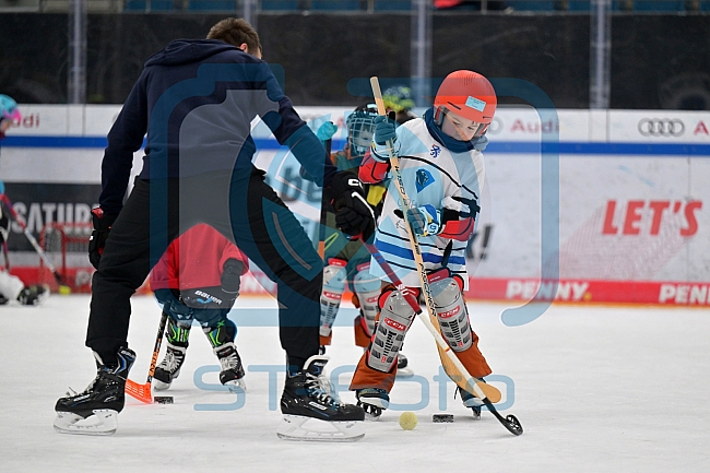 Eishockey, Herren, DEL, Saison 2024-2025, ERC Ingolstadt - Kids On Ice Day, 11.01.2025