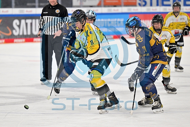 Eishockey, Frauen, DFEL, Saison 2022-2023, ERC Ingolstadt - Mad Dogs Mannheim, 19.11.2022