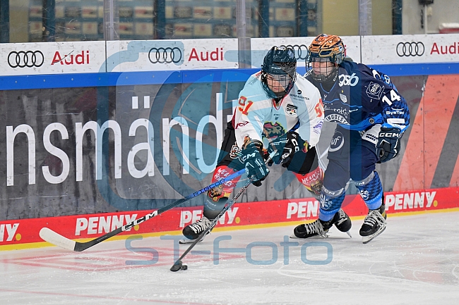 Eishockey, Frauen, DFEL, Saison 2024-2025, ERC Ingolstadt - EC Bergkamener Bären, 12.10.2024