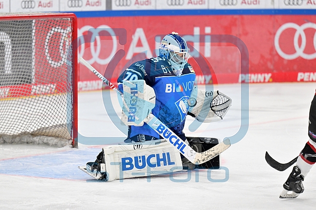 Eishockey, Frauen, DFEL, Saison 2023-2024, ERC Ingolstadt - EC Bergkamener Bären, 28.10.2023
