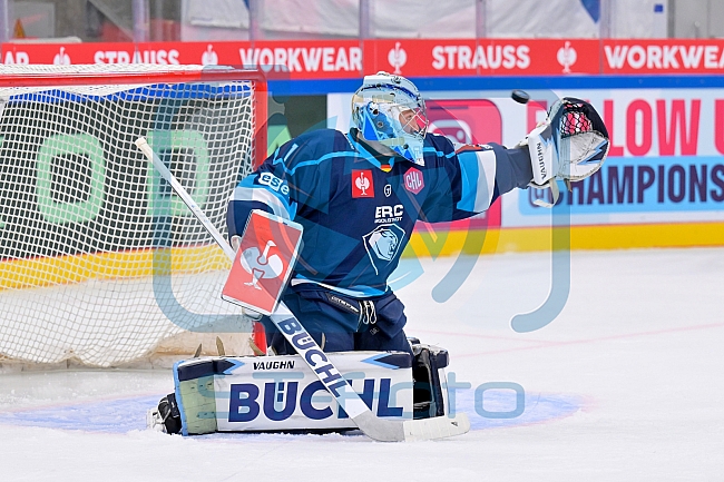 Hockey, Mens, CHL, Season 2025-2026, Regular Season, Round of 16, ERC Ingolstadt - EC Red Bull Salzburg, 12.11.2025