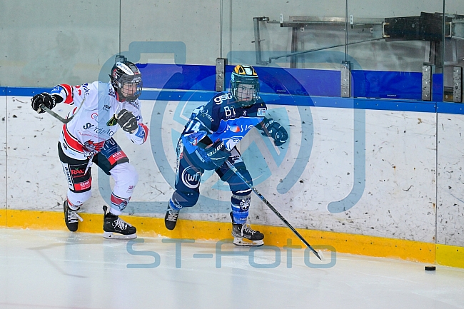 Eishockey, Frauen, DFEL, Saison 2023-2024, ERC Ingolstadt - ECDC Memmingen Indians, 21.01.2024