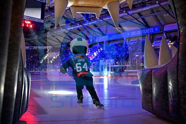 Eishockey, Herren, DEL, Saison 2025-2026, Spiel 11, ERC Ingolstadt - Nürnberg Ice Tigers, 17.10.2025