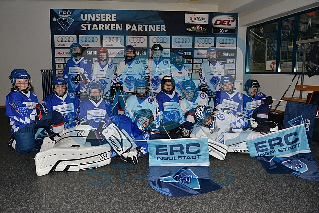 ERC Ingolstadt vs Straubing Tigers, Eishockey, DEL, Deutsche Eishockey Liga, 22.12.2015
