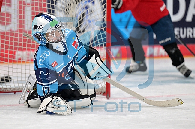 Eishockey, Herren, DEL, Saison 2023-2024, ERC Ingolstadt - Kids on Ice Day, 18.11.2023