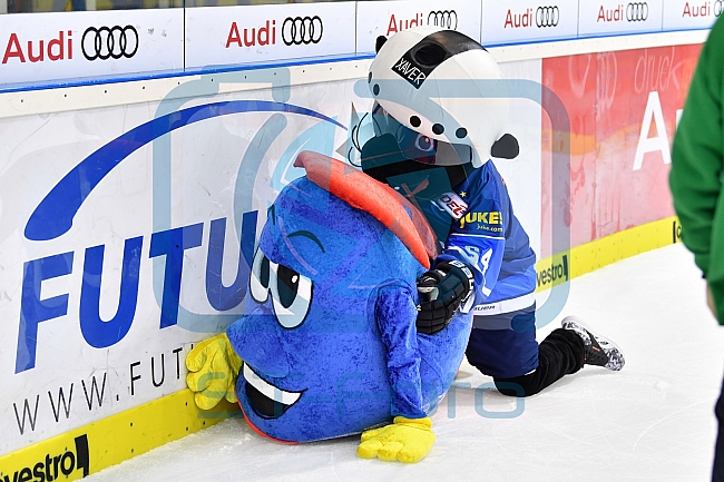 ERC Ingolstadt vs Iserlohn Roosters, Eishockey, DEL, Deutsche Eishockey Liga, Spieltag 9, 03.10.2017