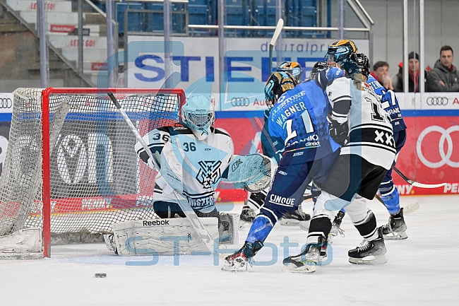 Eishockey, Frauen, DFEL, Saison 2023-2024, ERC Ingolstadt - Amsterdam Tigers, 06.01.2024