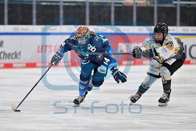 Eishockey, Frauen, DFEL, Saison 2024-2025, ERC Ingolstadt - Mad Dogs Mannheim, 23.11.2024