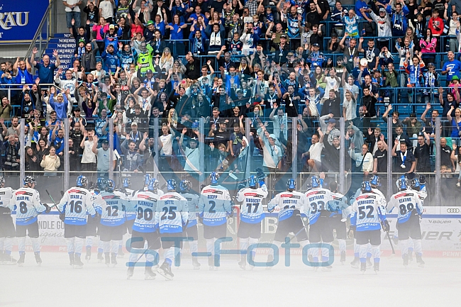 Eishockey, Herren, DEL, Saison 2024-2025, Vorbereitung, ERC Ingolstadt - Dresdner Eislöwen, 18.08.2024