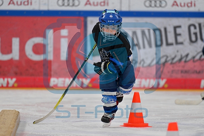 Eishockey, Herren, DEL, Saison 2024-2025, ERC Ingolstadt - Kids On Ice Day, 11.01.2025