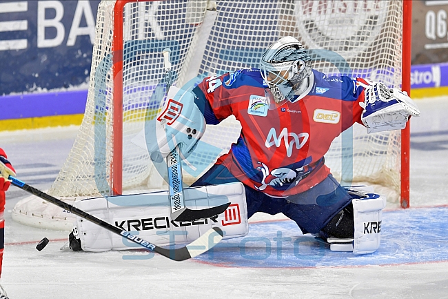 Adler Mannheim vs ERC Ingolstadt, DEL, Deutsche Eishockey Liga, Spieltag 50, 01.03.2020
