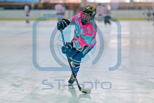 Eishockey, Frauen, DFEL, Saison 2023-2024, ERC Ingolstadt - ECDC Memmingen Indians, 21.01.2024