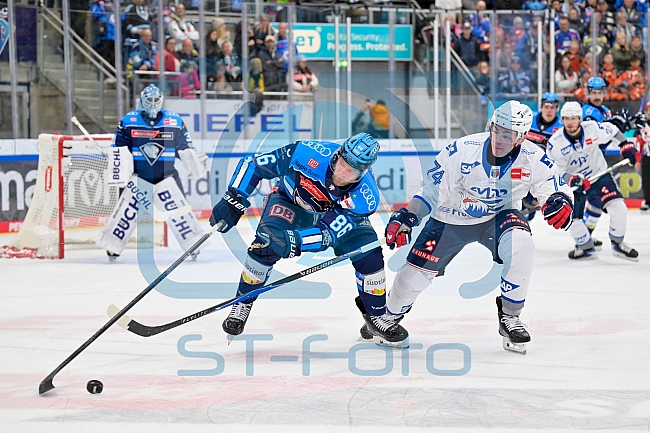 Eishockey, Herren, DEL, Saison 2025-2026, Spiel 14, ERC Ingolstadt - Adler Mannheim, 26.10.2025