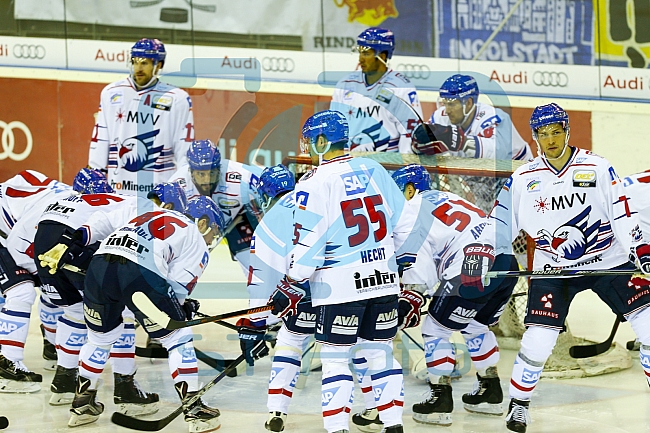 ERC Ingolstadt - Adler Mannheim, Eishockey, DEL, Deutsche Eishockey Liga, Spieltag 47, 24.02.2016