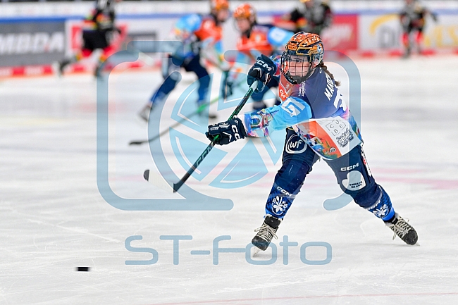 Eishockey, Frauen, DFEL, Saison 2024-2025, ERC Ingolstadt - EC Bergkamener Bären, 05.01.2025