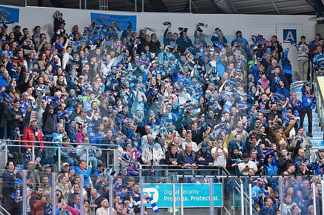 Eishockey, Herren, DEL, Saison 2024-2025, Playoffs Halbfinale, Spiel 5, ERC Ingolstadt - Kölner Haie, 11.04.2025