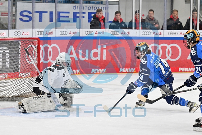 Eishockey, Frauen, DFEL, Saison 2023-2024, ERC Ingolstadt - Amsterdam Tigers, 06.01.2024
