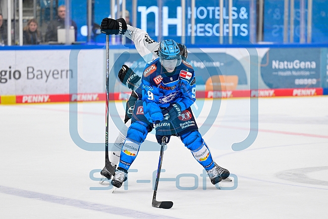 Eishockey, Herren, DEL, Saison 2025-2026, Spiel 16, ERC Ingolstadt - Kölner Haie, 31.10.2025