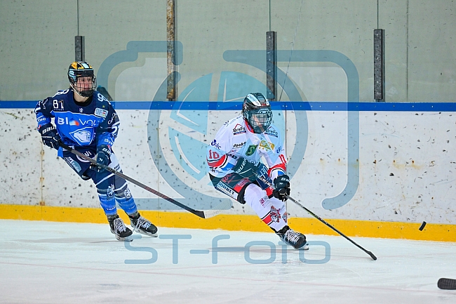 Eishockey, Frauen, DFEL, Saison 2023-2024, ERC Ingolstadt - ECDC Memmingen Indians, 21.01.2024