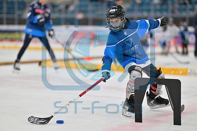Eishockey, Herren, DEL, Saison 2024-2025, ERC Ingolstadt - Kids On Ice Day, 21.09.2024