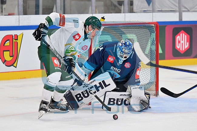 Eishockey, Mens, CHL, Season 2023-2024, ERC Ingolstadt - Färjestad Karlstad, 02.09.2023
