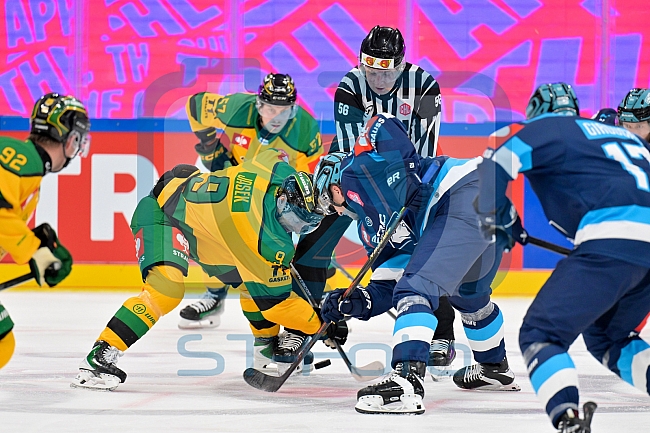 Hockey, Mens, CHL, Season 2025-2026, Regular Season, Game Day 1, ERC Ingolstadt - Ilves Tampere, 28.08.2025