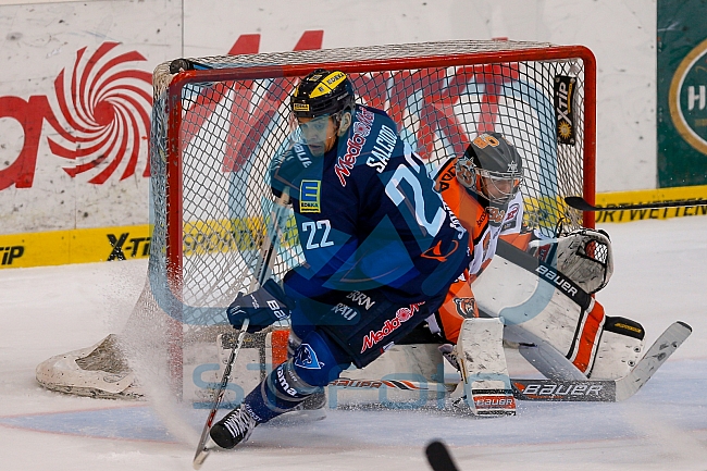 ERC Ingolstadt  - Grizzlys Wolfsburg, Eishockey, DEL, Deutsche Eishockey Liga, Spieltag 42, 31.01.2016