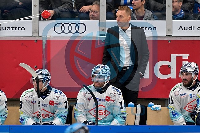 Eishockey, Herren, DEL, Saison 2025-2026, Spiel 23, ERC Ingolstadt - Dresdner Eislöwen, 28.11.2025