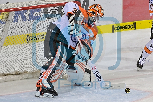 ERC Ingolstadt gegen Grizzlys Wolfsburg Pinguine am 21.12.2018, Spieltag 30