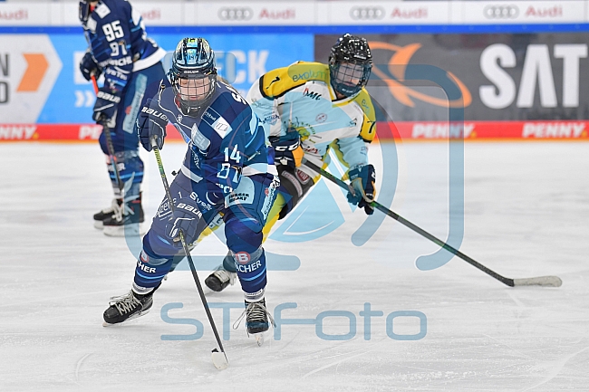 Eishockey, Frauen, DFEL, Saison 2021-2022, ERC Ingolstadt - Mad Dogs Mannheim, 24.10.2021