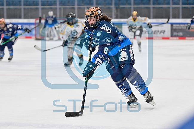 Eishockey, Frauen, DFEL, Saison 2024-2025, ERC Ingolstadt - Mad Dogs Mannheim, 23.11.2024