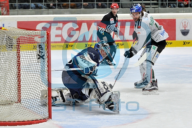 Augsburger Panther vs ERC Ingolstadt, Eishockey, DEL, Deutsche Eishockey Liga, 11.12.2015