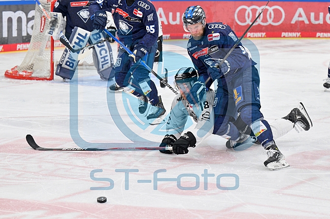 Eishockey, Herren, DEL, Saison 2024-2025, Playoffs Halbfinale, Spiel 5, ERC Ingolstadt - Kölner Haie, 11.04.2025